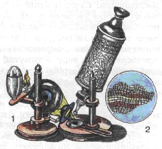 Мал. 17. Мікроскоп Р. Гука (1) і клітини корка (2).jpg