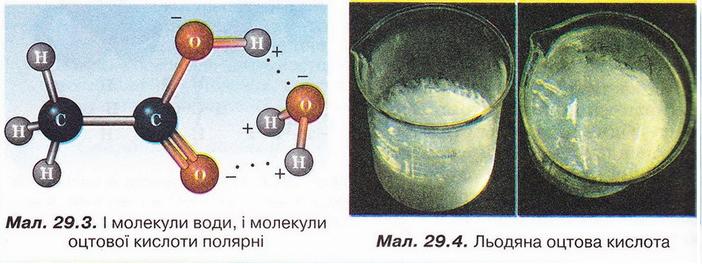 Chemistry 196 1.jpg