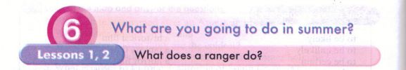 What does a ranger do?