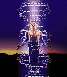 Мал. 5 ДНК – особовий код людини
