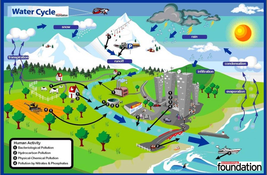 Hydrologic cycle.jpeg