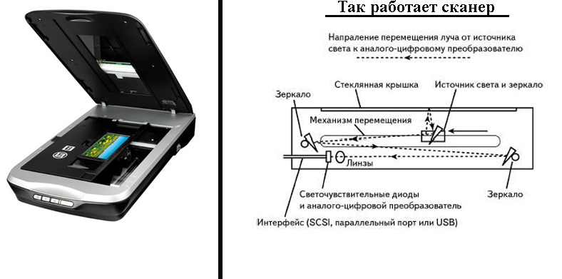 Красивейшая роспись в мире Красивейшая роспись в мире