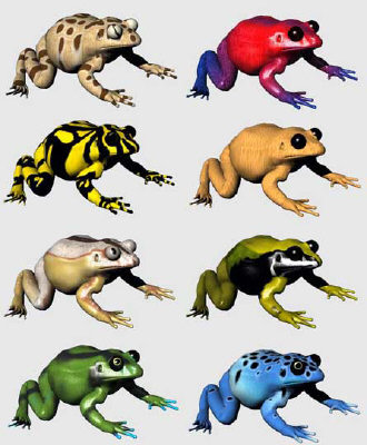 Frogs.jpg