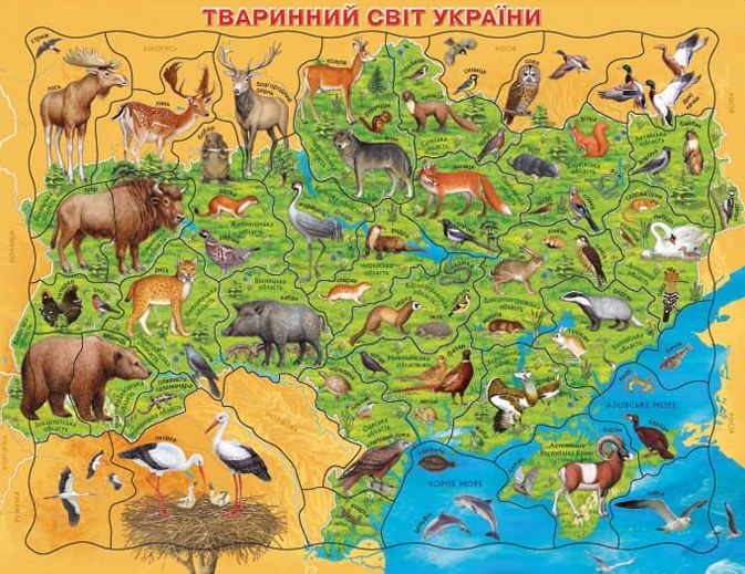 тварини України