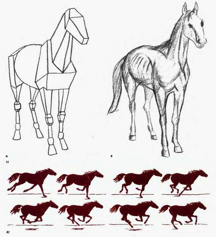 41. а) Геометрическое обобщение формы лошади (А. Лаптев); б) реалистическое изображение лошади. 42. Последовательность движения бегущей лошади (по А. Лаптеву)