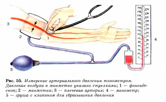 Измерение артериального давления тонометром