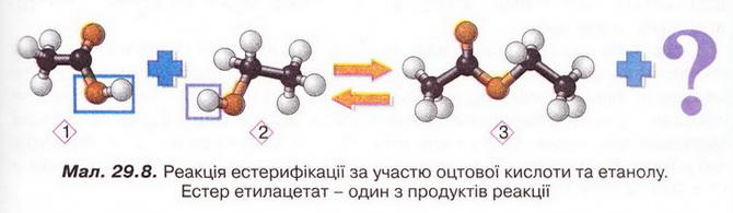 Chemistry 199.jpg