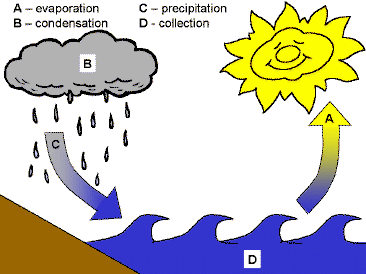 Swatercycle1.gif