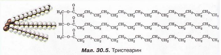Chemistry 206.jpg