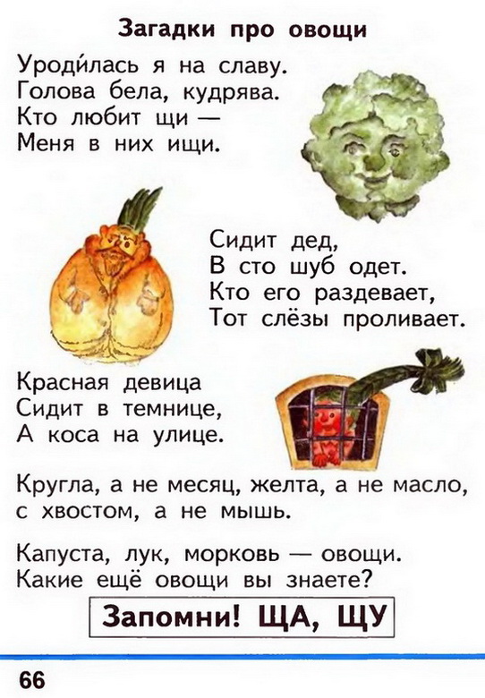 Russian language 1 2 66w.jpg