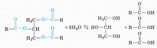 Chemistry 208.jpg