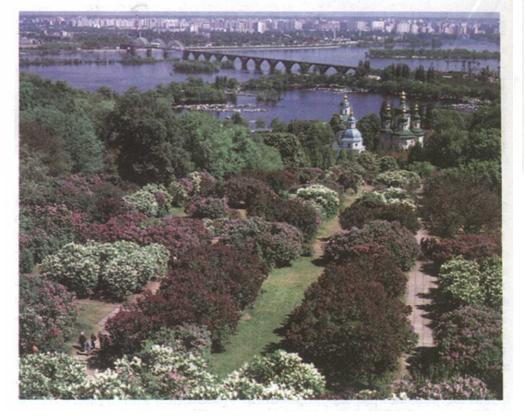 Національний ботанічний сад їм. М. Гришка. фото