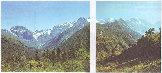 Самые длинные горы страны — Уральские (2100 км). Самые высокие — Кавказские.