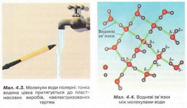 Молекули води та водневі зв'язки між ними. фото