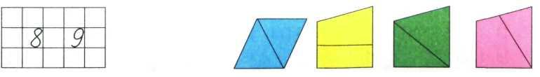 чотирикутники