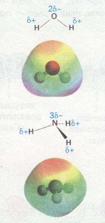 Мал. 15. Полярні молекули води та амоніаку.jpg