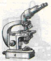 Світловий мікроскоп