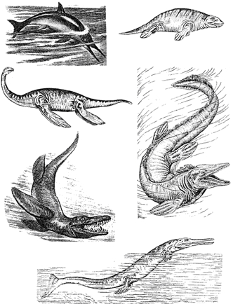 Мезозойские морские рептилии
