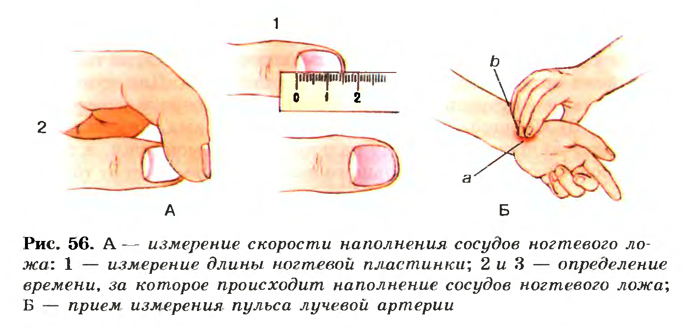 Измерение скорости наполнения сосудов ногтевого ложа