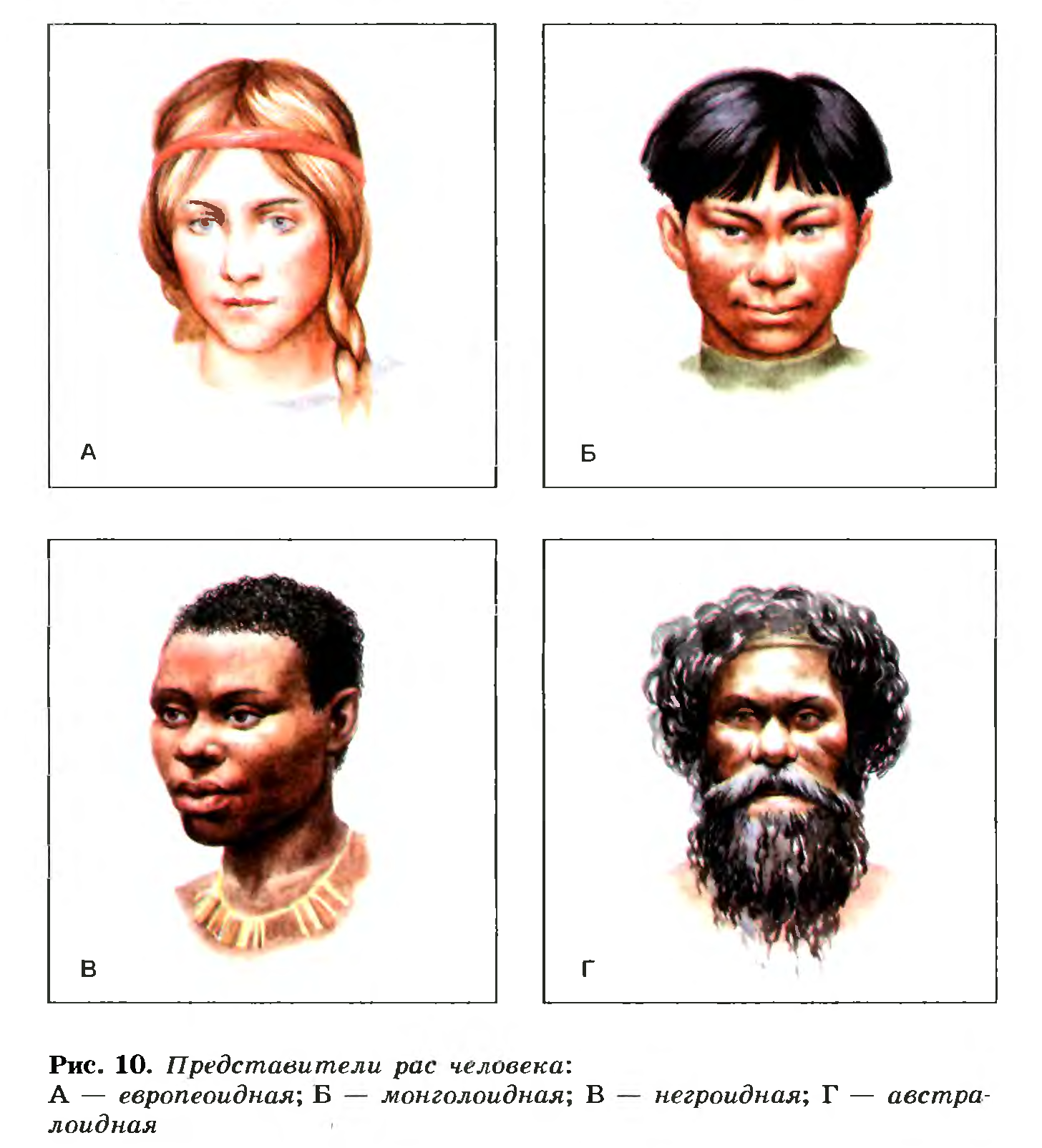 Расы человека