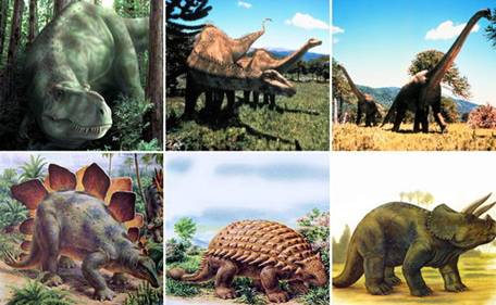 Динозаври - одни із предтавників хребетних, які існували дуже давно