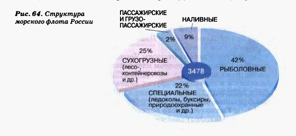 Структура морского флота России