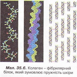 Chemistry 234.jpg