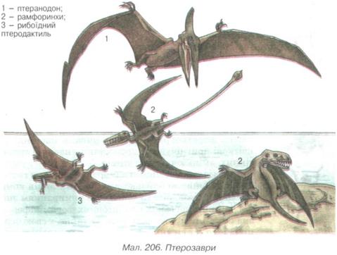 Птерозаври
