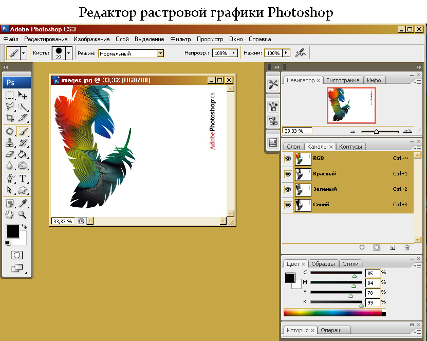 Программа для создания и редактирования. Редакторы растровой графики. Растровый редактор Adobe Photoshop. Растровые графические редакторы. Растровая Графика программы.