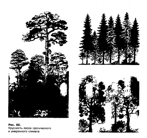 Файл:1001-38.jpg