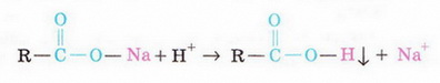 Chemistry 207 1.jpg