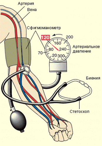 Измерение артериального давления с помощью манометра