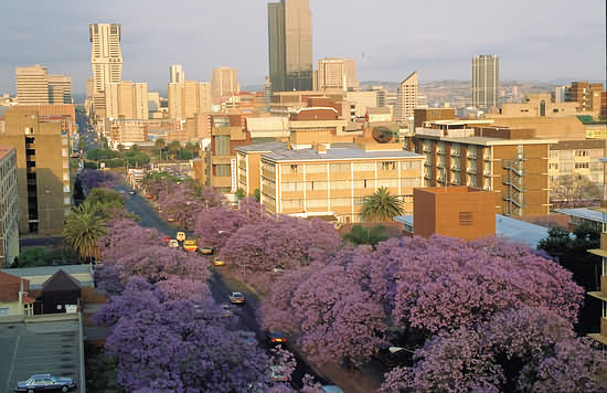 Файл:Pretoria.jpg