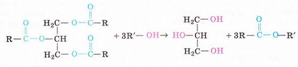 Chemistry 206 2.jpg