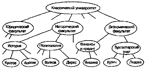 Иерархическая структура университета
