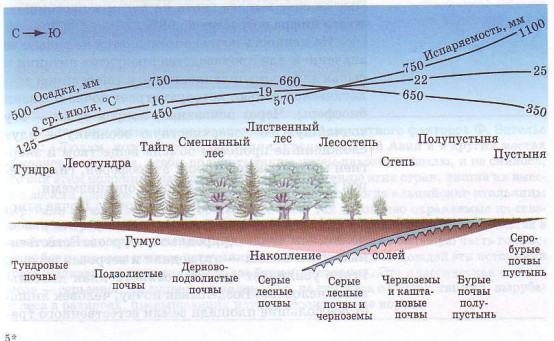 Взаимосвязь типов почв с климатом и растительностью