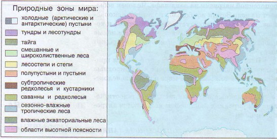 Природные зоны мира и России
